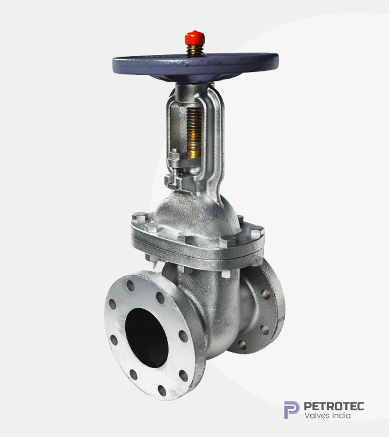 Cast Steel Gate Valve